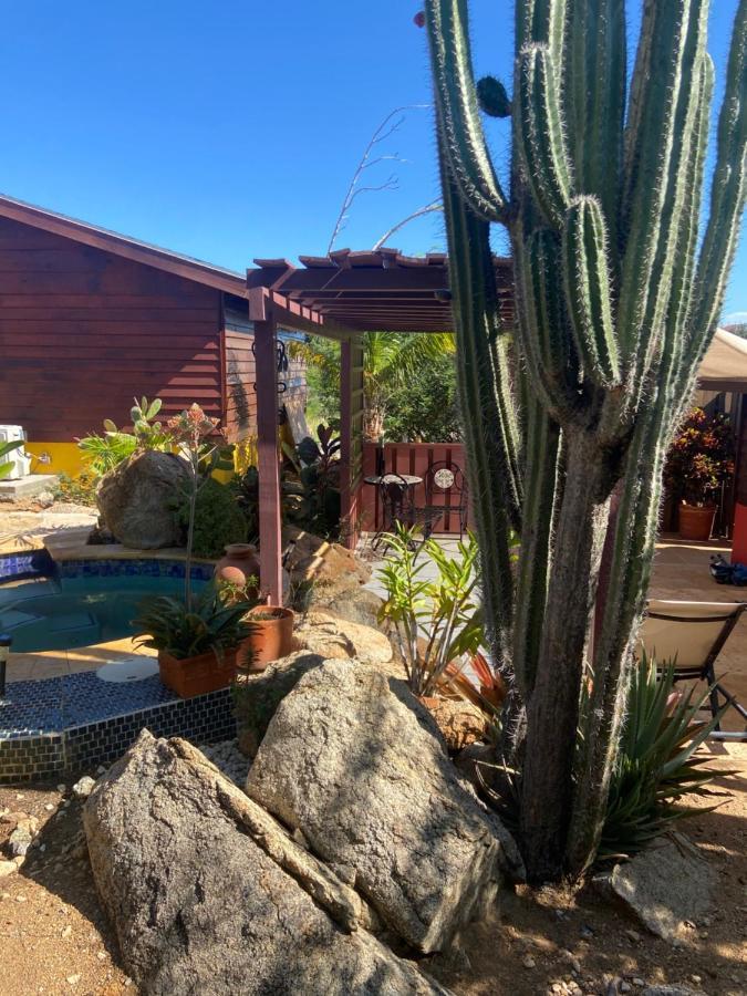 Cozy Studio With Private Spa Oranjestad Exteriör bild